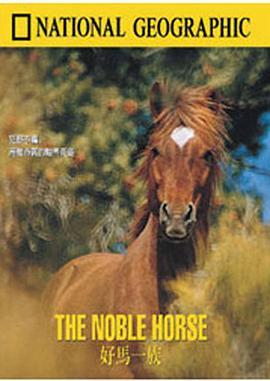 好马一族 The Noble <span style='color:red'>Horse</span>