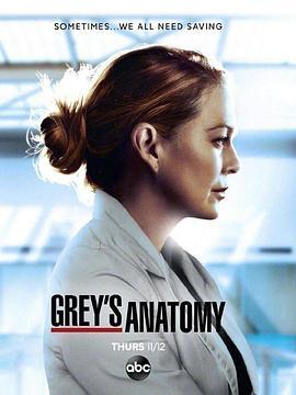 实习医生<span style='color:red'>格</span>蕾 第<span style='color:red'>十</span>七季 Grey's Anatomy Season 17