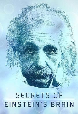 爱<span style='color:red'>因</span><span style='color:red'>斯</span>坦大脑的秘密 Secrets of Einstein's Brain