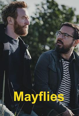 蜉蝣 Mayflies