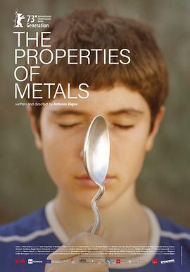 金属的性质 Le proprietà dei metalli