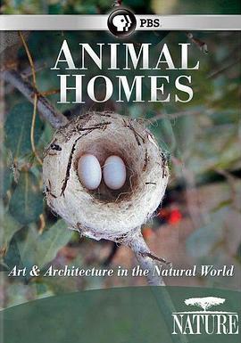 动物之<span style='color:red'>家</span>：鸟巢 Animal Homes: The Nest