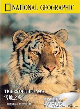 <span style='color:red'>雪</span>地<span style='color:red'>之</span>虎 Tigers of the <span style='color:red'>Snow</span>