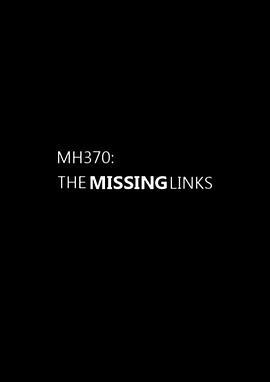 MH370：<span style='color:red'>缺</span>失的环节 Flight 370: The Missing Links