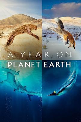 地球上的一年 A Year on Planet Earth