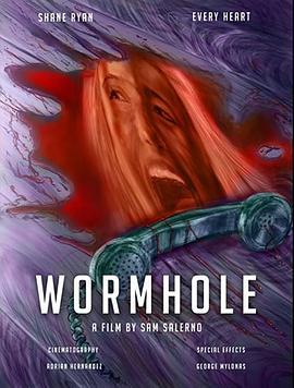 虫洞 Wormhole
