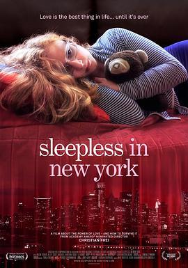 纽约不眠夜 <span style='color:red'>Sleepless</span> in New York