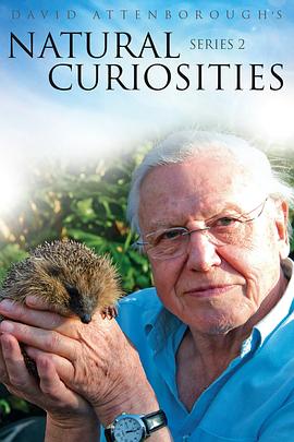 自然趣闻 第二季 <span style='color:red'>David</span> Attenborough's Natural Curiosities Season 2