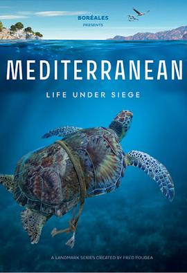 地中海 <span style='color:red'>Mediterranean</span>: Life Under Siege
