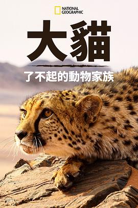 猫科动物：奇妙的动物家族 Big Cats: An Amazing Animal Family