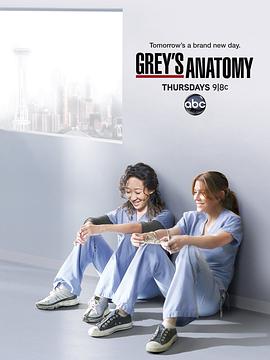 实习医生格蕾 第八季 Grey's <span style='color:red'>Anatomy</span> Season 8