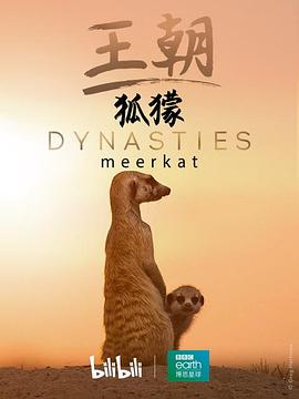 王朝：狐獴特辑 Dynasties: <span style='color:red'>Meerkat</span> Special