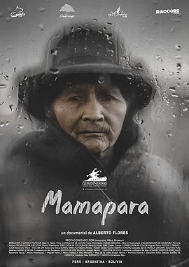 母亲的<span style='color:red'>心雨</span> Mamapara