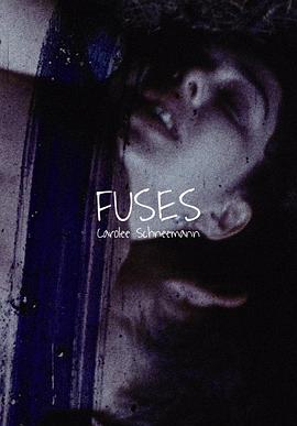 融合 Fuses