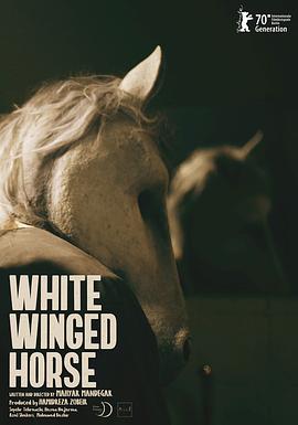 白翼马 White Winged <span style='color:red'>Horse</span>