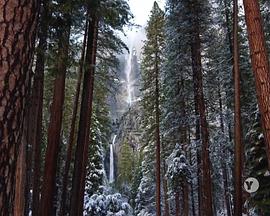 <span style='color:red'>自</span><span style='color:red'>然</span>：约塞米蒂国家公园 Nature: Yosemite