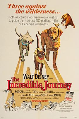 <span style='color:red'>一</span>猫<span style='color:red'>二</span>狗<span style='color:red'>三</span>分亲 The Incredible Journey