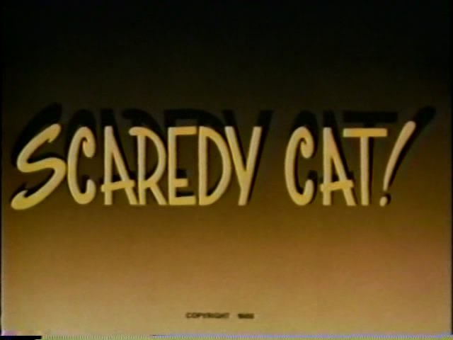 <span style='color:red'>胆</span>小猫 Scaredy Cat!