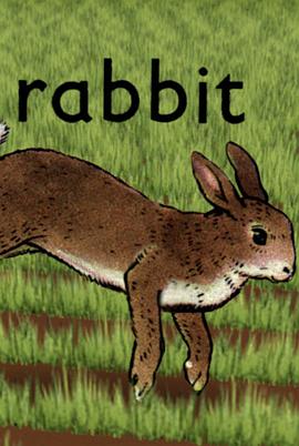 兔 <span style='color:red'>Rabbit</span>