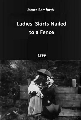 女士的裙子钉在了篱笆上 Ladies' Skirts Nailed to a <span style='color:red'>Fence</span>
