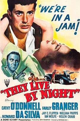 夜逃<span style='color:red'>鸳</span>鸯 They Live by Night