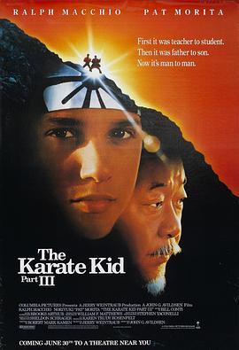 <span style='color:red'>龙</span><span style='color:red'>威</span>小<span style='color:red'>子</span>3 The Karate Kid Part III