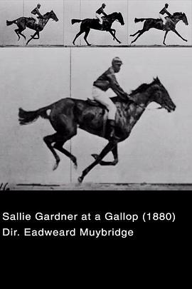 飞驰中的萨利·加德纳 S<span style='color:red'>allie</span> Gardner at a Gallop