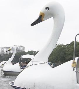 纪实72小时:井之头公园 被湖水吸引 ドキュメント72時間「東京・井の頭公園 池のほとりに引き寄せられて」