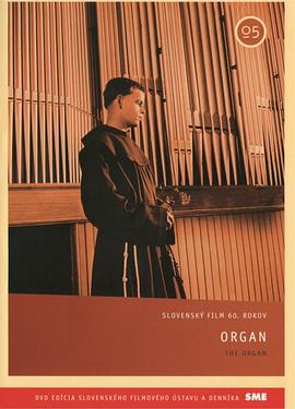 管风琴 Organ