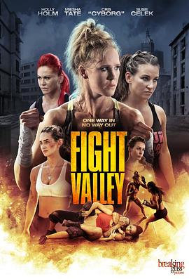 搏击谷 Fight Valley