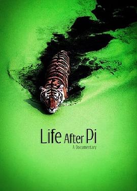 少年派后的日子 Life After Pi