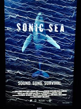 <span style='color:red'>噪</span>音海洋 Sonic Sea