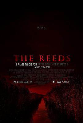 <span style='color:red'>芦</span>苇地 The Reeds