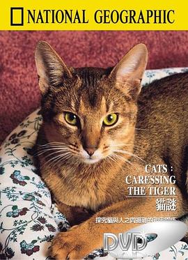 猫谜 National Geographic 100 Years #49 Cats - Caressing The Tiger