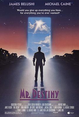 命运先生 Mr. Destiny