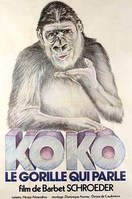 科科：会说话的大猩猩 Koko, le gorille qui <span style='color:red'>parle</span>