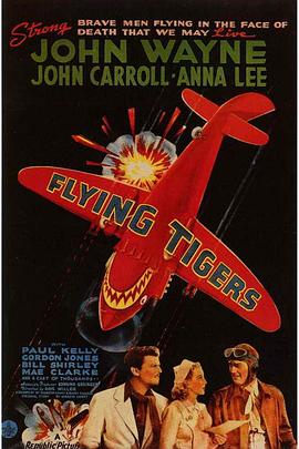 <span style='color:red'>飞虎队</span> Flying Tigers