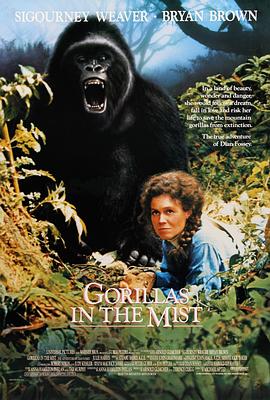 迷雾森林十<span style='color:red'>八</span><span style='color:red'>年</span> Gorillas in the Mist: The Story of Dian Fossey