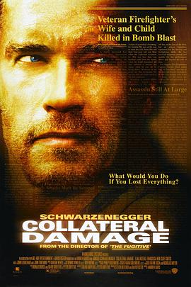 间接伤害 Collateral Damage