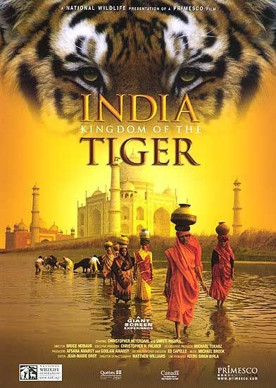 印度：老虎王国 India: <span style='color:red'>Kingdom</span> of the Tiger