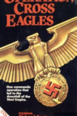 <span style='color:red'>十</span><span style='color:red'>字</span>鹰行动 Operation Cross Eagles