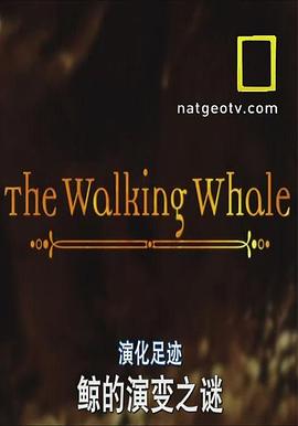 国家地理-演化足迹：<span style='color:red'>陆</span>上<span style='color:red'>行</span>鲸 National Geographic Evolutions The Walking Whale