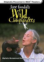 珍古德的野生黑猩猩 <span style='color:red'>Jane</span> Goodall's Wild Chimpanzees