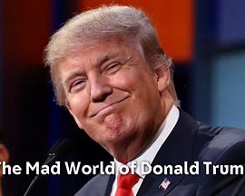 唐纳德·特朗普的<span style='color:red'>疯狂世界</span> The Mad World of Donald Trump