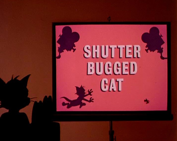 <span style='color:red'>快门窃听猫 Shutter Bugged Cat</span>