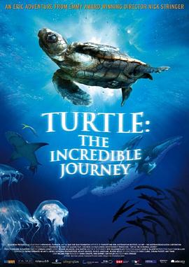 海龟奇妙之旅 <span style='color:red'>Turtle</span>: The Incredible Journey