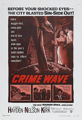 <span style='color:red'>警</span><span style='color:red'>网</span>重重 Crime Wave