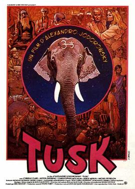 <span style='color:red'>象</span>牙 Tusk