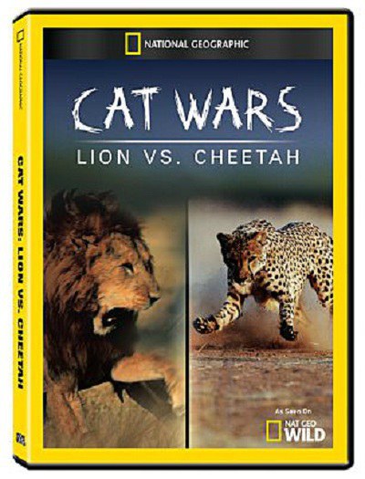 猫科大战：<span style='color:red'>狮</span><span style='color:red'>子</span>VS猎豹 Cat Wars: Lion Vs. Cheetah