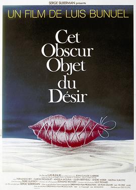 朦胧的欲望 Cet obscur objet du désir